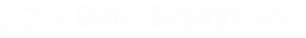Логотип компании Беркут-НЧ