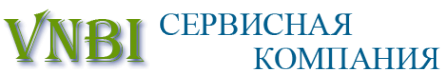 Логотип компании VNBI IT АУТСОРСИНГ