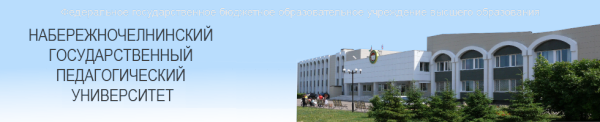 Логотип компании Набережночелнинский институт социально-педагогических технологий и ресурсов