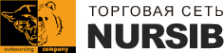 Логотип компании НУРСИБ