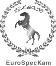 Логотип компании ЕВРОСПЕЦКАМ