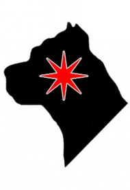 Логотип компании Частная служба дрессировки собак Богард