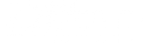 Логотип компании ТРАКДЕТАЛЬ