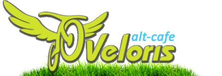 Логотип компании Veloris