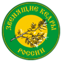 Логотип компании Звенящие кедры России