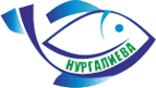 Логотип компании Нургалиева