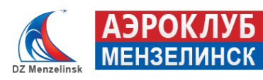 Логотип компании ДЗ Мензелинск