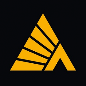 Логотип компании Деловые Линии Набережные Челны